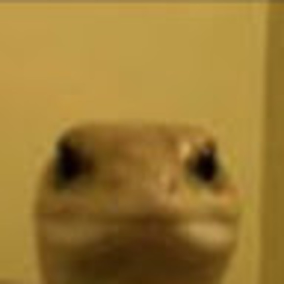 Meet your Posher, Seth - Picture 1 of 1